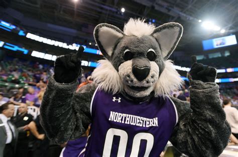 The Role of the Northwestern Basketball Mascot in Game Day Entertainment